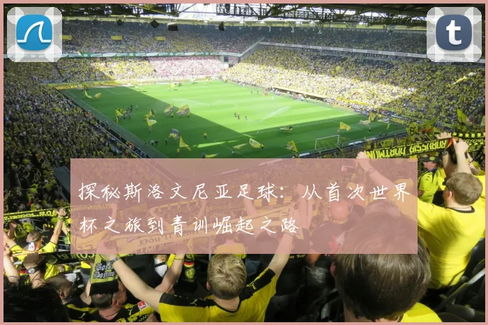 探秘斯洛文尼亚足球:从首次世界杯之旅到青训崛起之路